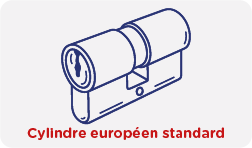 Fourniture et pose d'un cylindre européen standard